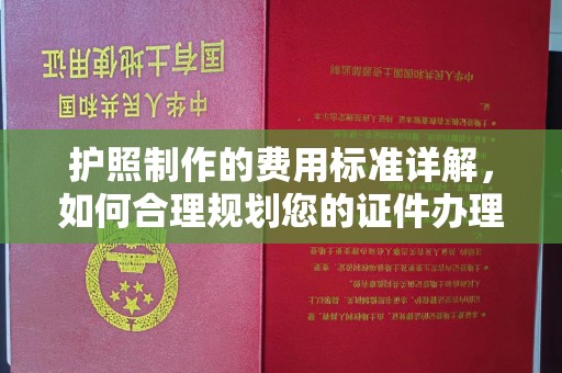 麻豆护照制作的费用标准详解，如何合理规划您的证件办理预算